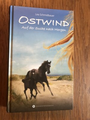 gebrauchtes Buch – Lea Schmidbauer – Ostwind - Auf der Suche nach Morgen