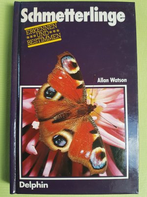 gebrauchtes Buch – Allan Watson – Schmetterlinge