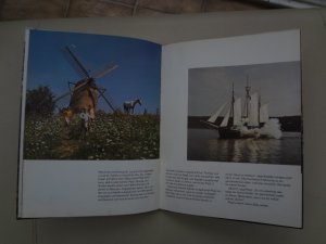 gebrauchtes Buch – Lindgren, Astrid & Bo - Erik Gyberg – Pippi außer Rand und Band