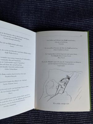 gebrauchtes Buch – Philosophie für jedermann - Heiter & Hintergründig