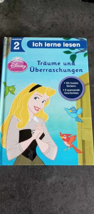 gebrauchtes Buch – Disney: Erstleser Prinzessinnen Prinzessinnen Träume