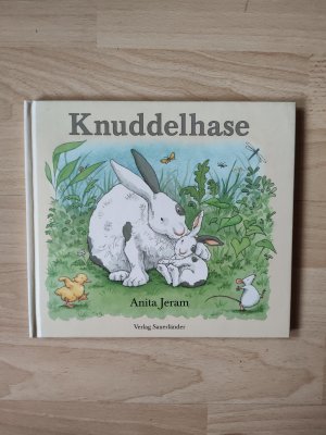 gebrauchtes Buch – Anita Jeram – Knuddelhase