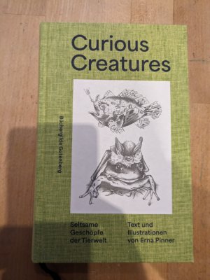 Curious Creatures