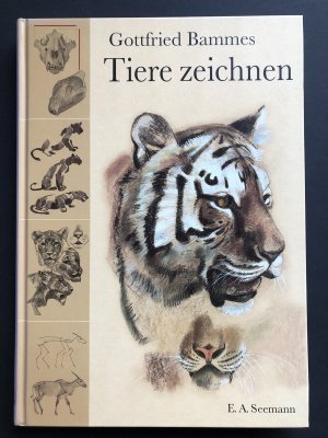 Tiere zeichnen