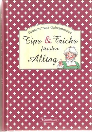 gebrauchtes Buch – Kollektiv – Großmutters Geheimnisse / Tips & Tricks für den Alltag