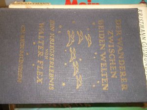 Der Wanderer zwischen beiden Welten eine autobiografisch geprägte Kriegsnovelle beeinflusste eine ganze Generation junger Männer von Walter Flex