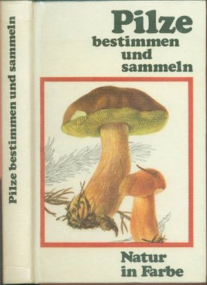 gebrauchtes Buch – Mirko Svrček (Autor) – Pilze bestimmen und sammeln