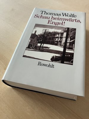 Schau heimwärts, Engel!