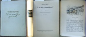 Ist mir mein Leben geträumet? Briefe eines Einsiedlers gesammelt und herausgegeben von Otto Nöldeke.