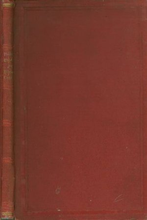 Die Theologie der Divina Commedia des Dante Alighieri, aus ihr selbst systematisch zusammengestellt und beleuchtet.