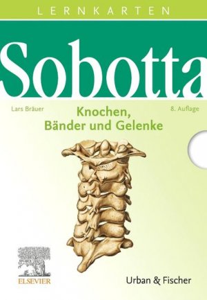 gebrauchtes Buch – Lars Bräuer – Sobotta Lernkarten Knochen, Bänder und Gelenke Knochen, Bänder, Gelenke