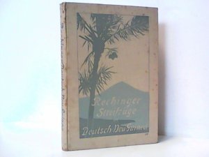 Streifzüge in Deutsch-Neu-Guinea und auf den Salomons-Inseln.