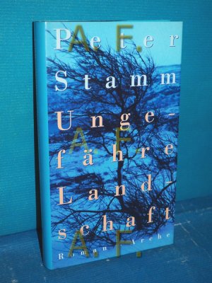 gebrauchtes Buch – Peter Stamm – Ungefähre Landschaft : Roman.
