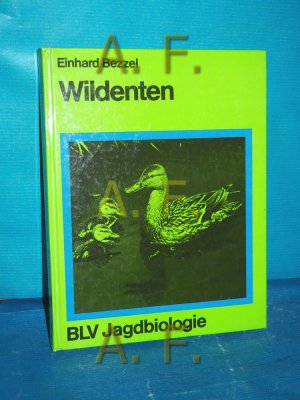 Wildenten BLV-Wildbiologie