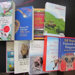 Konvolut Romane - Diverse Autoren, diverse Themen, unsortiert (30 Bücher)