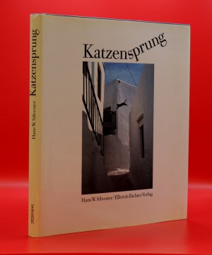 gebrauchtes Buch – Hans W. Silvester – Katzensprung