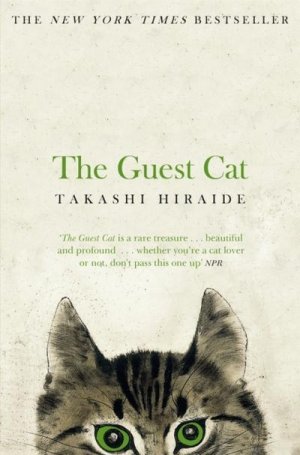 neues Buch – Takashi Hiraide – The Guest Cat