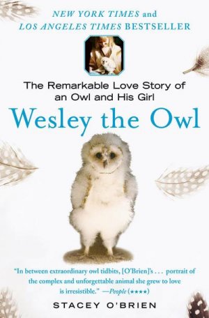 neues Buch – Stacey O'Brien – Wesley the Owl