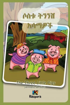 Sostu Tininish Asemawe'Ch - Amharic Children's Book