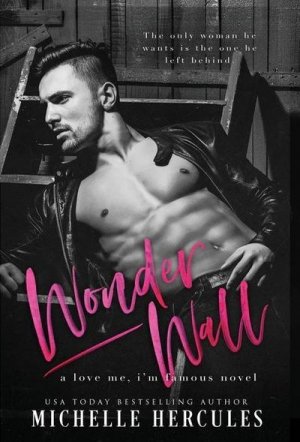 neues Buch – Michelle Hercules – Wonderwall