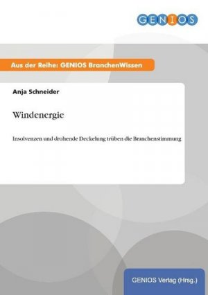 neues Buch – Anja Schneider – Windenergie