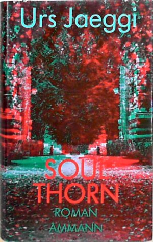 gebrauchtes Buch – Urs Jaeggi – Soulthorn Roman