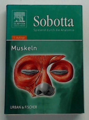 gebrauchtes Spiel – Posel, Peter – Sobotta, Spielend durch die Anatomie: Muskeln Muskeln