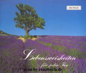 Lebensweisheiten für jeden Tag. Mini-Perlen ; Nr. 92509