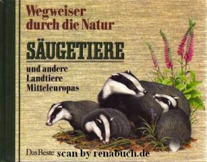 gebrauchte Buecher