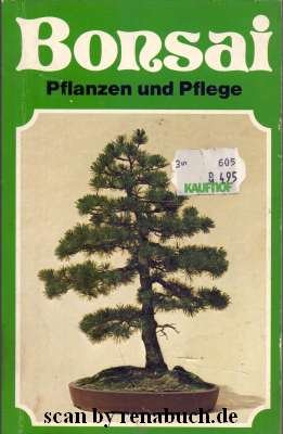 Bonsai Pflanzen und Pflege