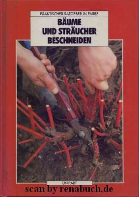 gebrauchtes Buch – Blackburne-Maze, Peter (Mitwirkender) und Simon Roulstone – Bäume und Sträucher beschneiden. Peter Blackburne-Maze. [Zeichn.: Simon Roulstone] / Praktischer Ratgeber in Farbe