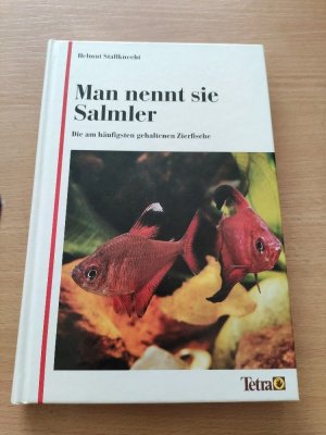 Man nennt sie Salmler. Die am häufigsten gehaltenen Zierfische