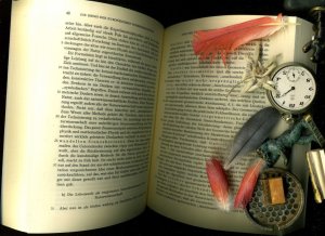 gebrauchtes Buch – Edmund Husserl – Gesammelte Schriften. Studienausgabe in 9 Bänden. 8 Bände und 1 Registerband.