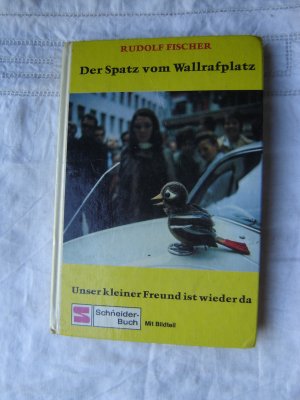 Der Spatz vom Wallrafplatz (unser kleiner Freund ist wieder da)