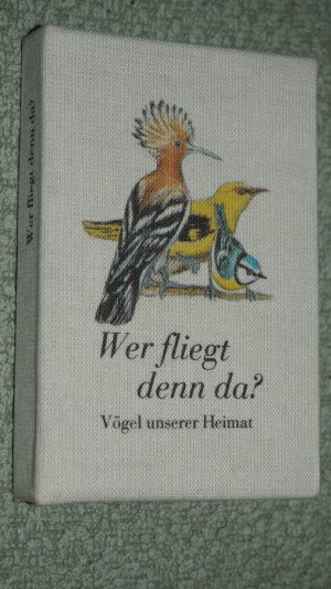 Wer fliegt denn da? : Vögel unserer Heimat.