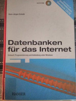 Datenbanken für das Internet - Entwurf, Programmierung und Anbindung unter Windows