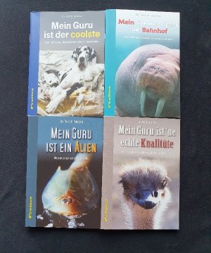 gebrauchtes Buch – Lehner, Hermann R – Mein Guru...