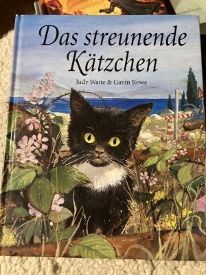 gebrauchtes Buch – Judith Waite – Das streunende Kätzchen