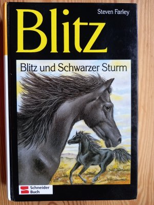 Blitz und schwarzer Sturm