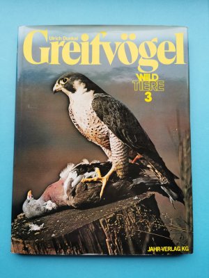 Greifvögel    -    Wildtiere  3