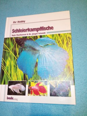 Schleierkampffische