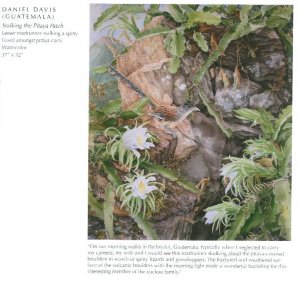 gebrauchtes Buch – Jeffery Whiting  – Artists for Conservation 2015 International Exhibit of Nature in Ar