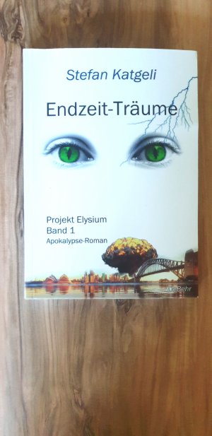 gebrauchtes Buch – Stefan Katgeli – Endzeit-Träume - Apokalypse-Roman