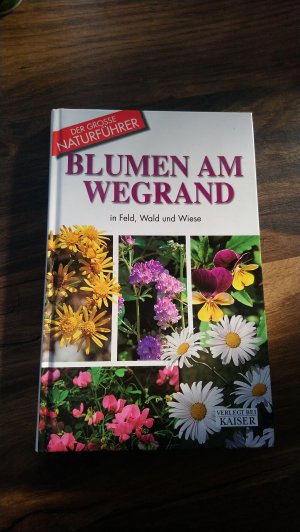 Blumen am Wegrand - In Feld, Wald und Wiese