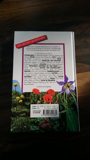 gebrauchtes Buch – Beffa, Maria T – Blumen am Wegrand - In Feld, Wald und Wiese