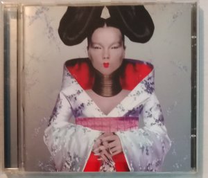 gebrauchter Tonträger – Björk – Homogenic