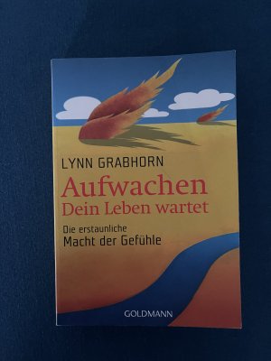 Aufwachen - Dein Leben wartet - Die erstaunliche Macht der Gefühle