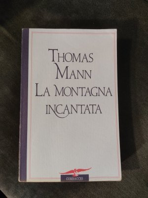 Bildtext: La Montagna Incantata von Thomas Mann