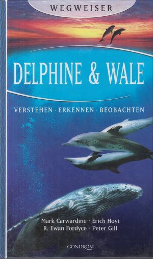 gebrauchtes Buch – Delphine & Wale: Verstehen - Erkennen - Beobachten