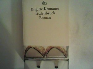 gebrauchtes Buch – Brigitte Kronauer – Teufelsbrück. Roman